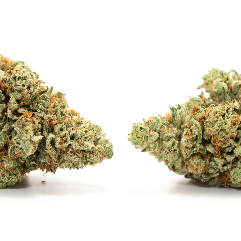 Buy Blueberry Kush Weed Strain Online In Georgia - Image 2