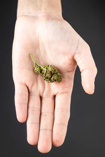 buy weed online in Georgia