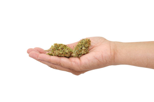 buy weed online in Georgia