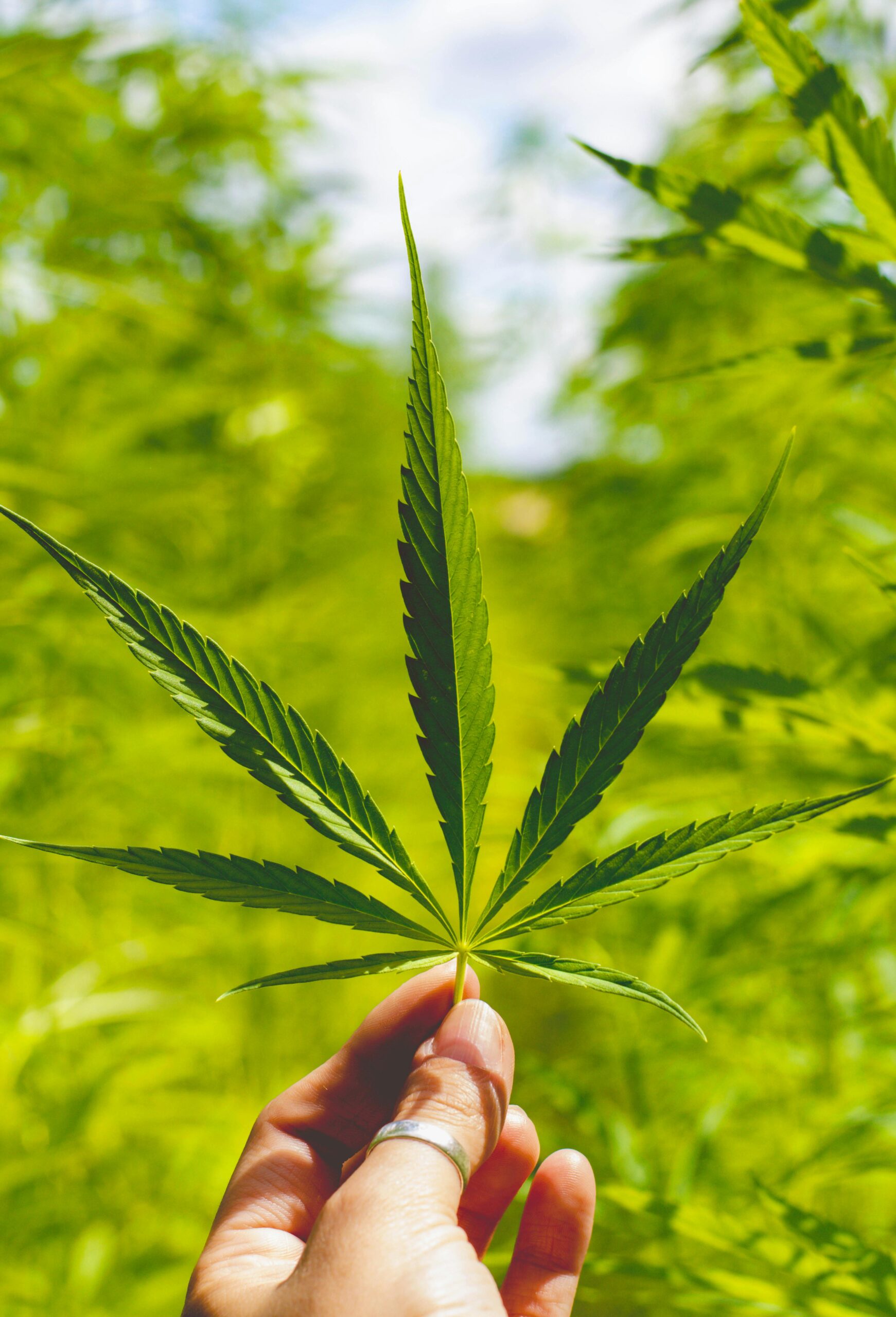 buy weed online in Georgia